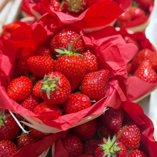 Fraises Gariguette