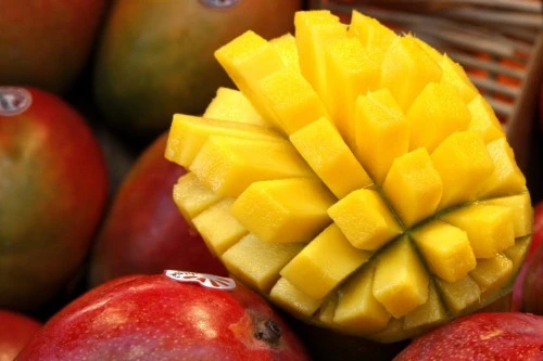 Mangue Kent